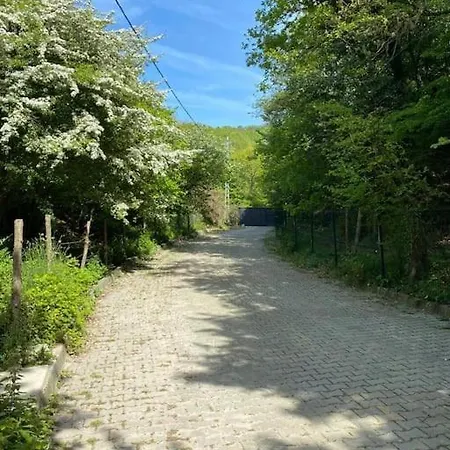 Lupin Muestakil Terasli Ev Apartment Ağva