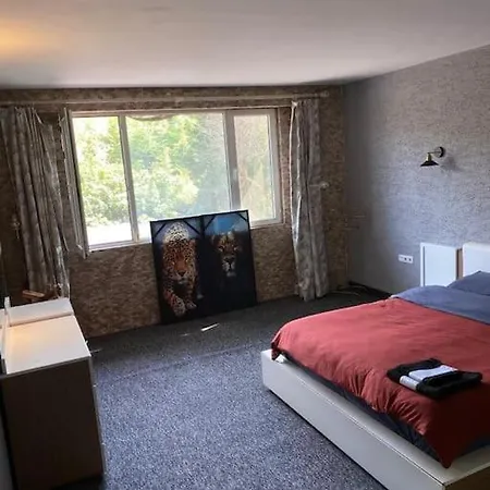 Lupin Muestakil Terasli Ev Apartment